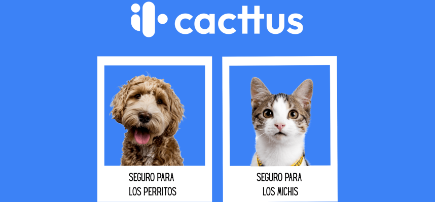CACTTUS-ALIANZA DUKO